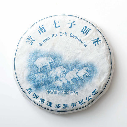 Elephant's Green Odyssey