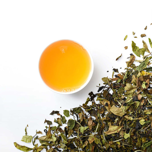 White Spring Whisper