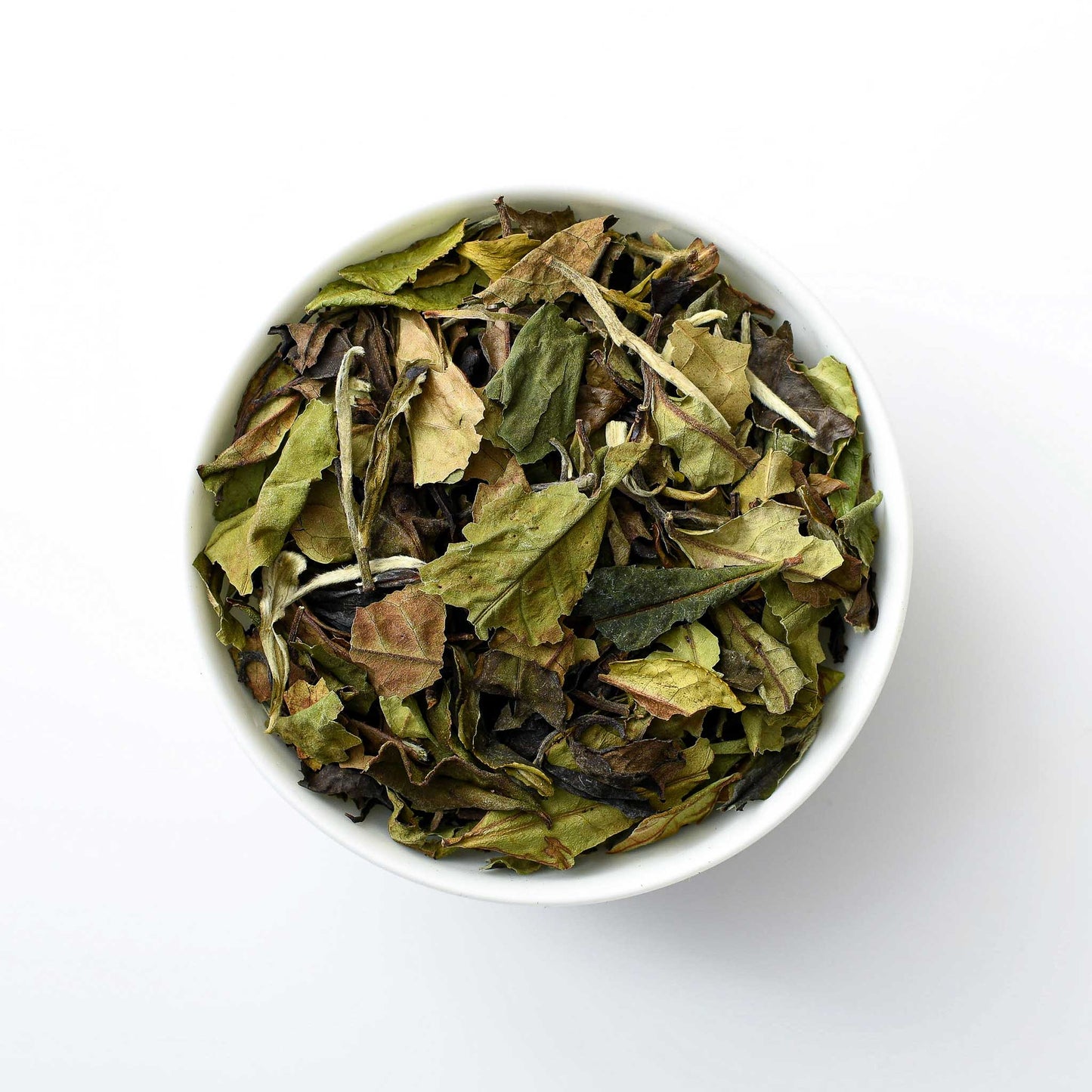 White Spring Whisper