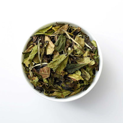 White Spring Whisper