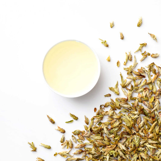 Yunnan Spring Serenade