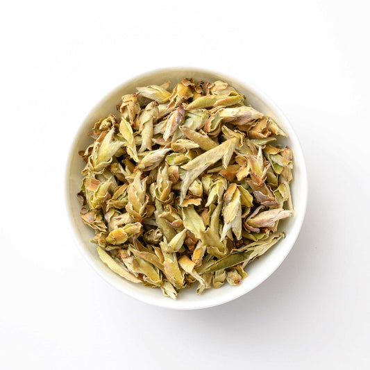 Yunnan Spring Serenade